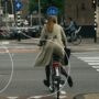 Jongeren omgekomen verkeer